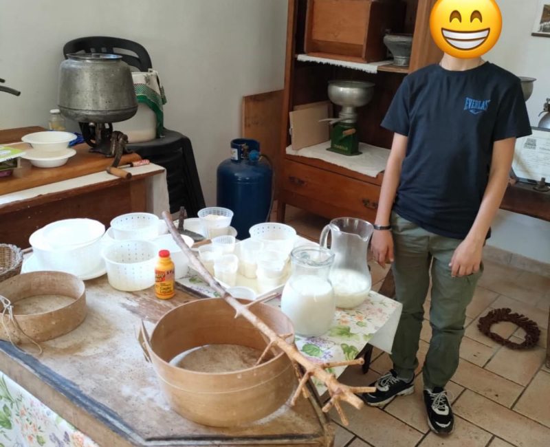 Immagine WhatsApp 2024-11-14 ore 18.15.49_6c7ab49d