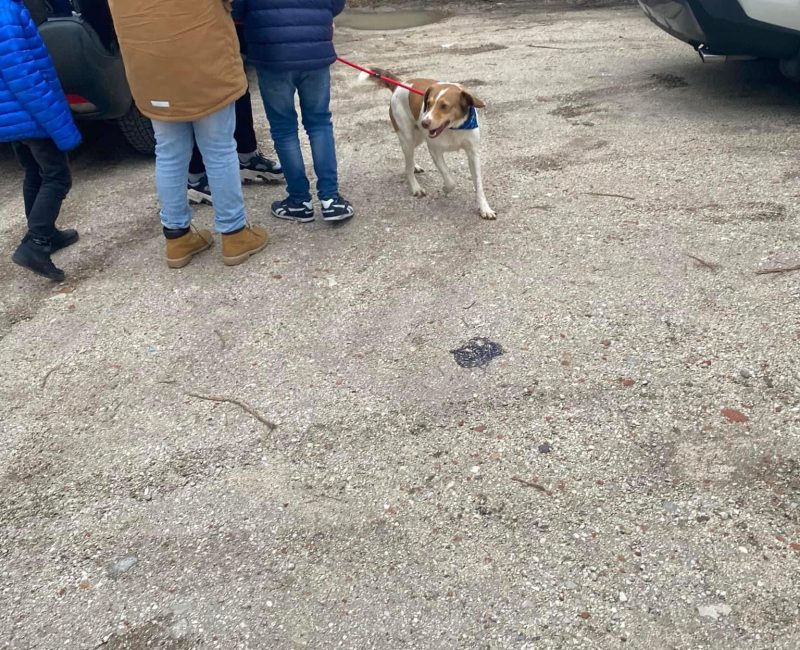 Immagine WhatsApp 2024-11-14 ore 18.26.48_25a5a854