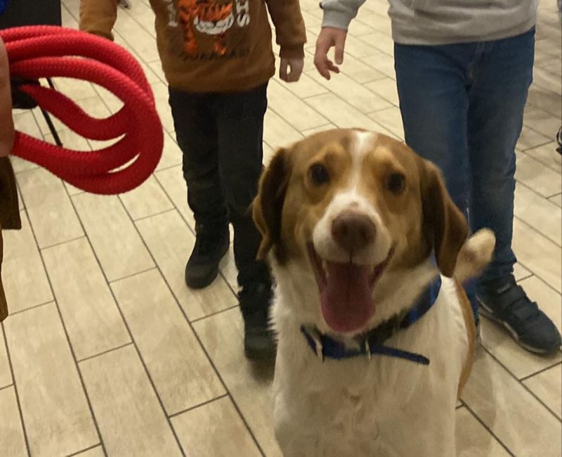 Immagine WhatsApp 2024-11-14 ore 18.26.48_8a49c132