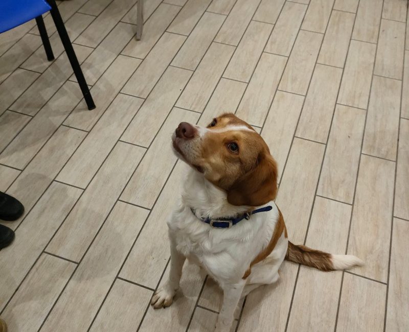 Immagine WhatsApp 2024-11-14 ore 18.26.48_dacddaa0