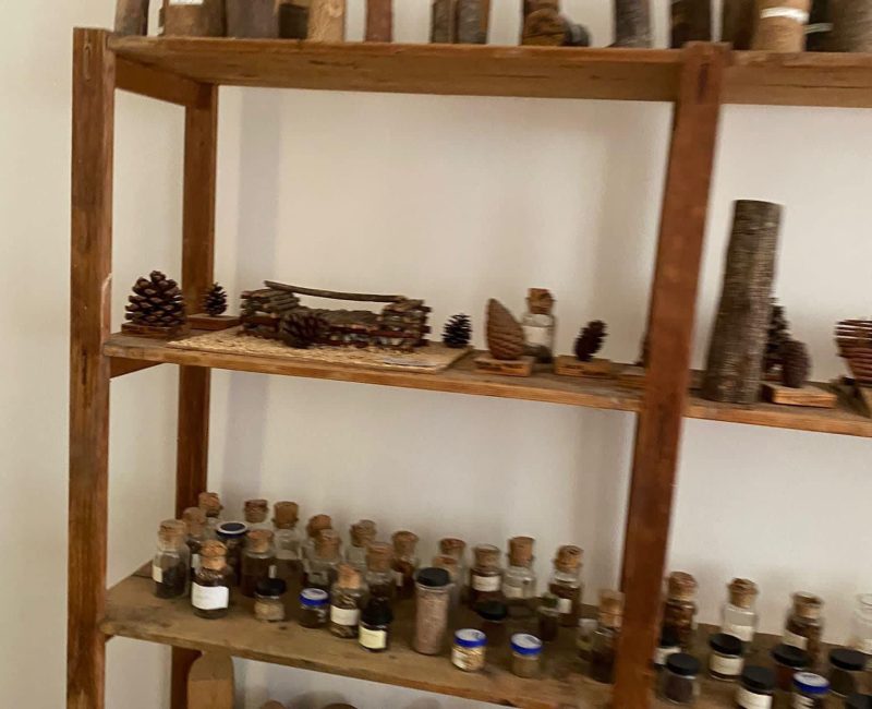 Immagine WhatsApp 2024-11-14 ore 18.39.38_828cfbbd