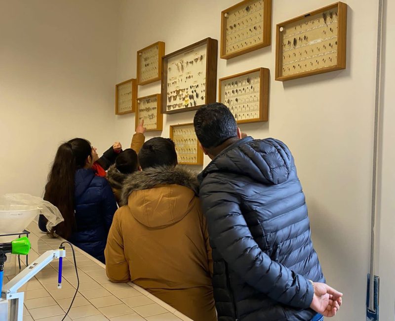 Immagine WhatsApp 2024-11-14 ore 18.39.39_453fefbd