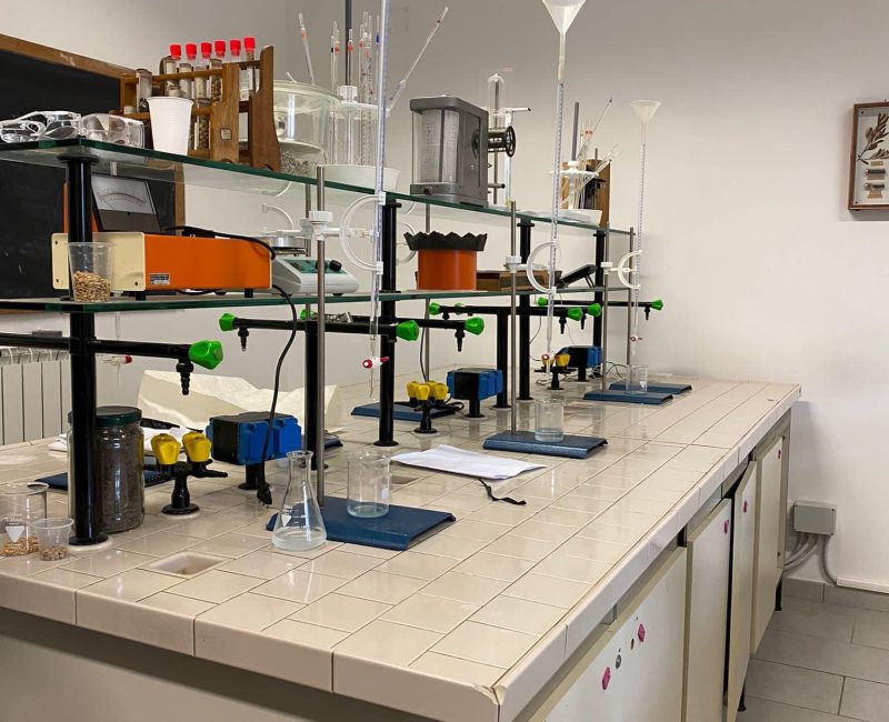 Immagine WhatsApp 2024-11-14 ore 18.39.39_d4715485